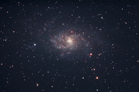 M33 Foto-Orion-8Zoll-900mm